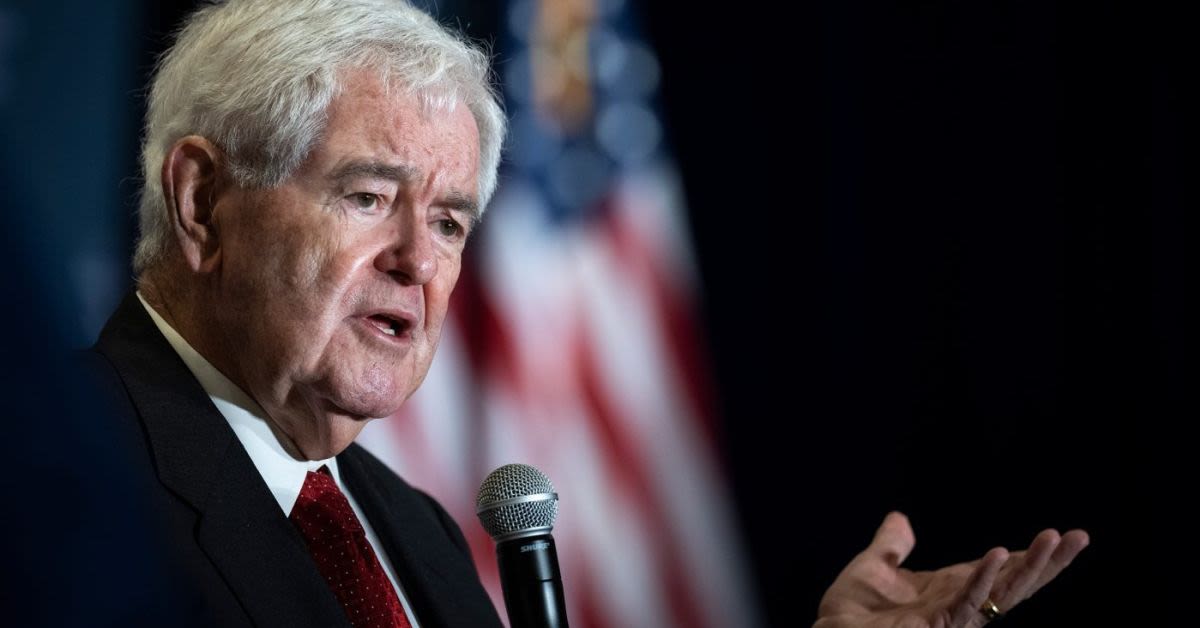 Gingrich Says Democrats Handed Republicans A Huge Gift As Iran Fight And DHS Standoff Collide