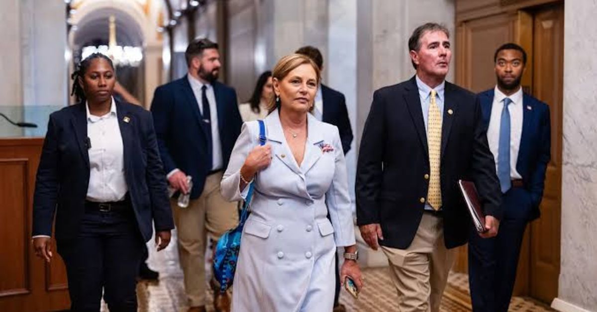 Left-Wing GWU Comedian Boasts Of Congratudolences Cake For Dead Lindsey Graham