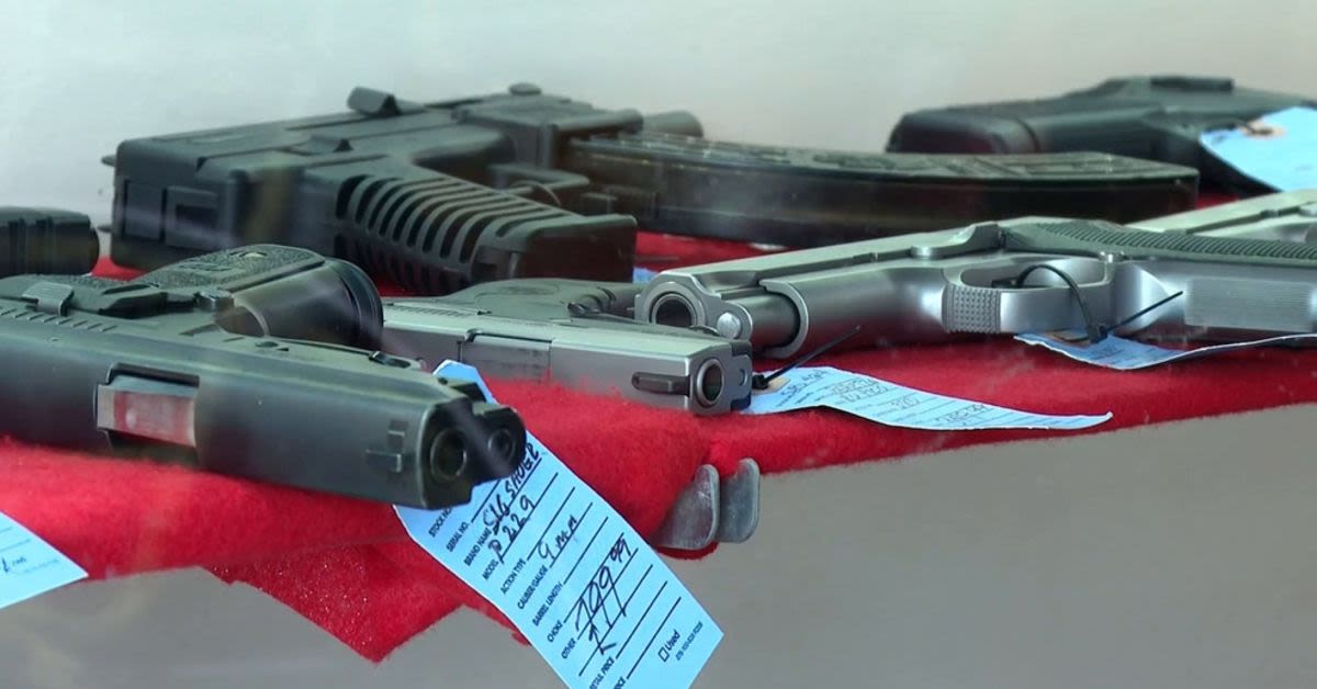 Michigans Century-Old Gun Law Just Got Hit With A Bruen-Style Lawsuit