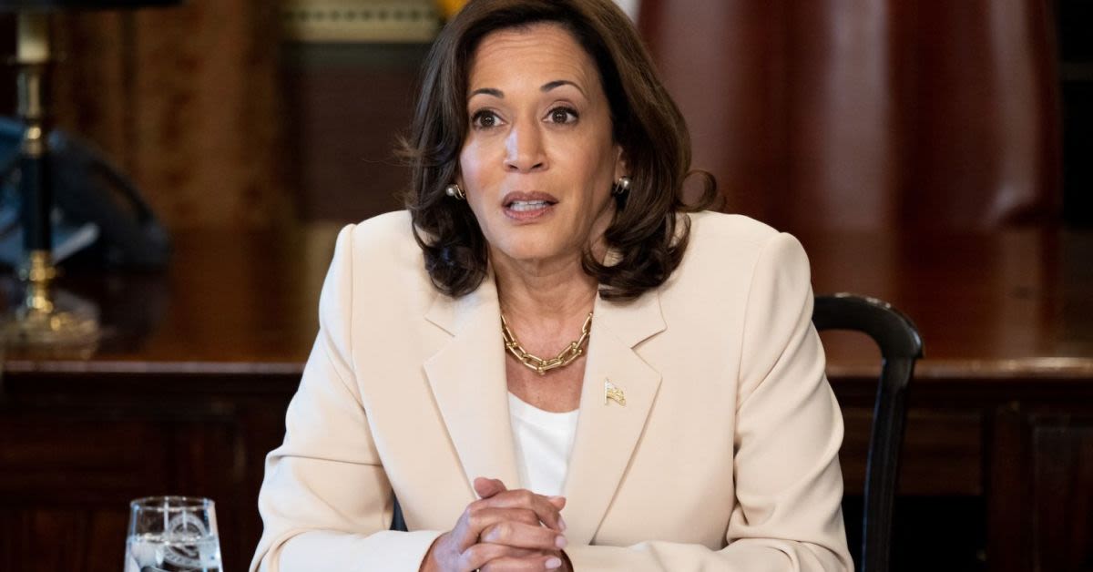 Did Kamala Just Say She Is Going To PAY College Students To Register Voters?