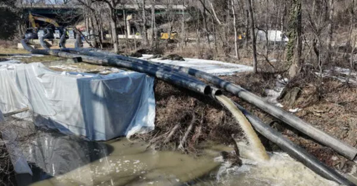 Historic Pooptomac Sewage Catastrophe Exposes DC Waters DEI-Obsessed Leadership Priorities