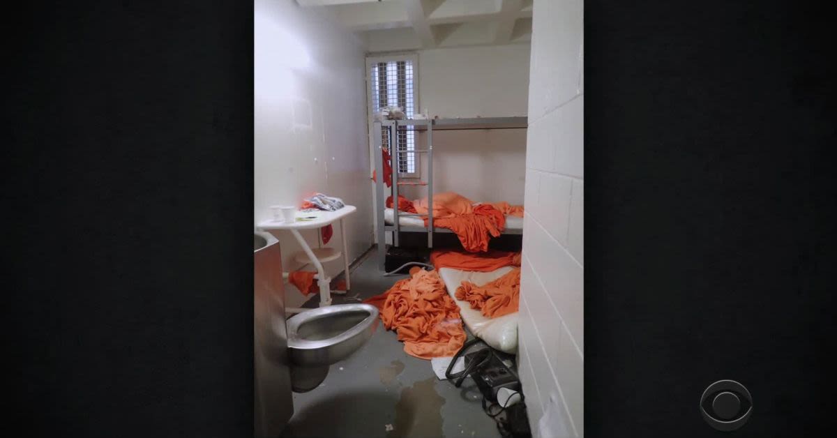 DOJs Epstein Video Bombshell: Mystery Flash Of Orange On Prison Stairs Blows Up 'Official' Story