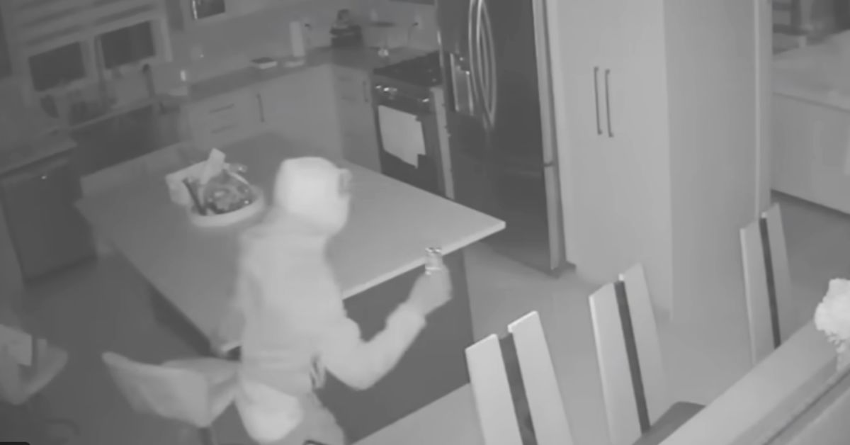 Surveillance Video Captures Brazen New York Break-In At Luxury HomeWatch What Happens!