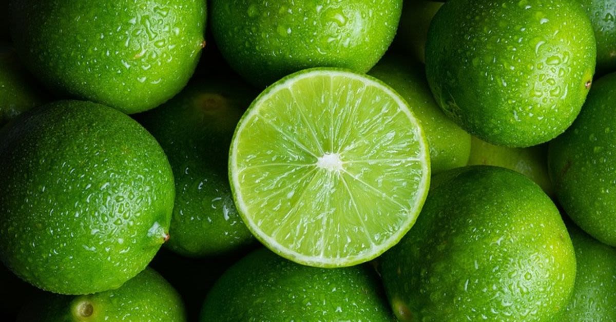 Limes Of Deception: CBP Uncovers &#039;A Whopper Stash&#039; Disguised In Fruit Shipment