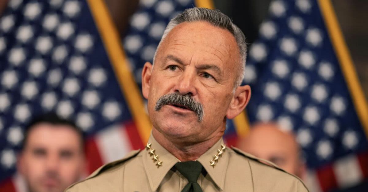 Sheriff-Turned-Governor Hopeful Slams Sanctuary Laws While Pushing Citizenship Deal For Illegal Immigrants
