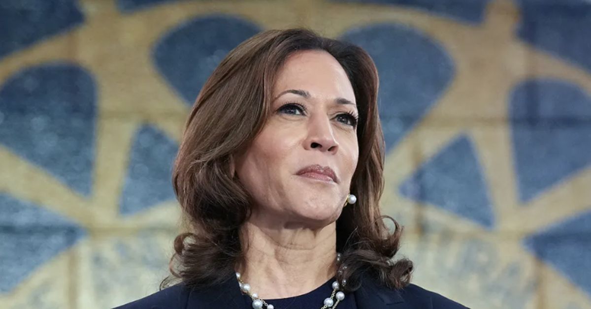 Watch: Kamala Harris Unveils Shocking Plan To Neutralize Red-State Cheating