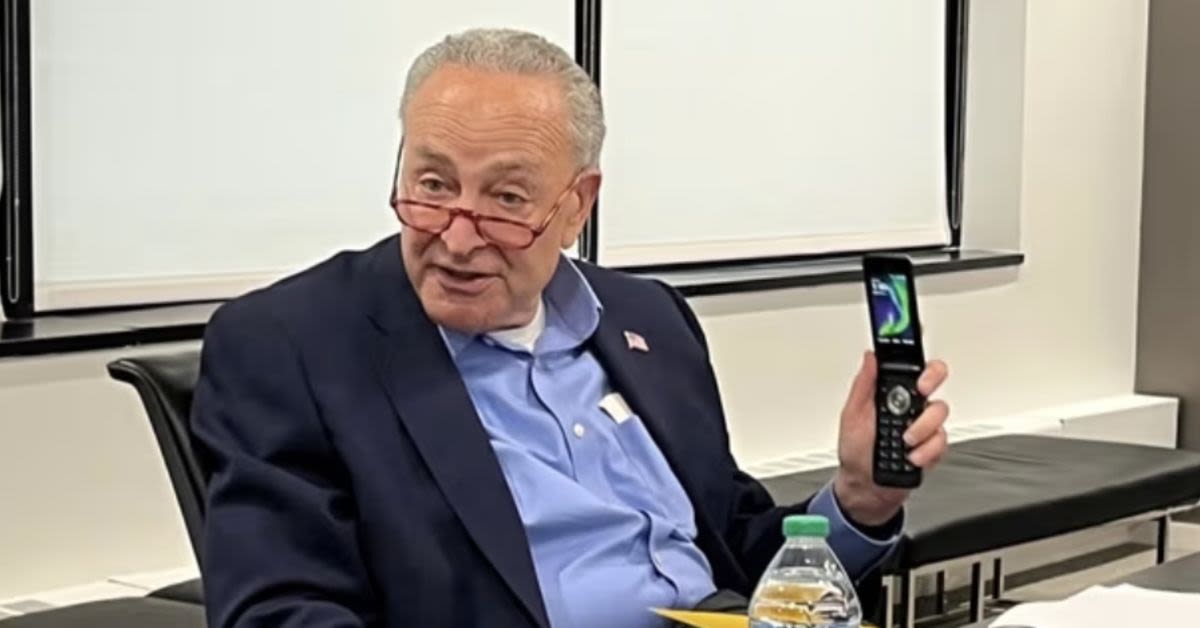 Chaos Erupts Outside Chuck Schumers NYC Office As Anti-Israel Mob Storms Building, Shuts Down Third Avenue