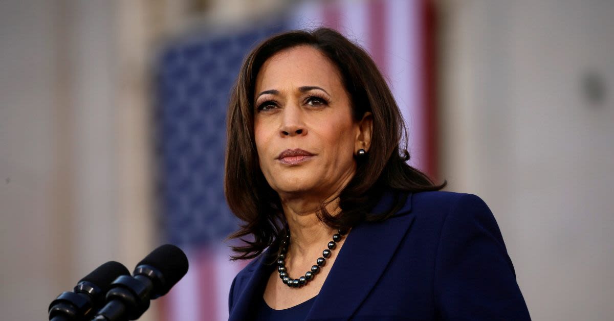 Former Biden Ambassador Unloads On Kamala In New Book