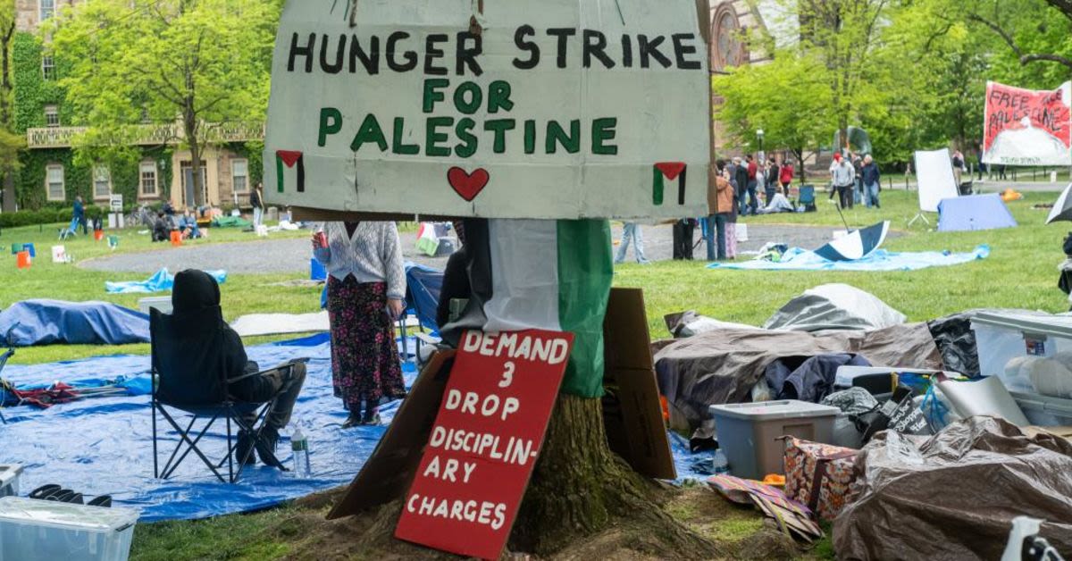 Starving For Attention? &#039;Princeton Princess&#039; Complains Anti-Israel Hunger Strike Is Hard And She&#039;s Tired