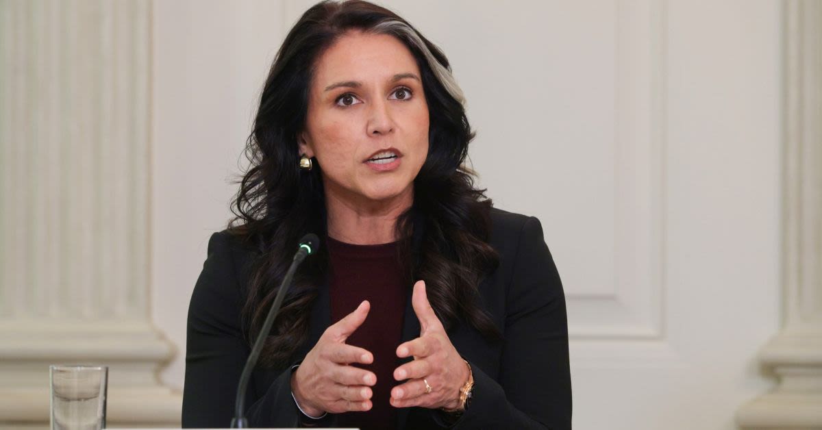 Tulsi Gabbard Torches Guardian After TrumpForeign Intel Smear Craters