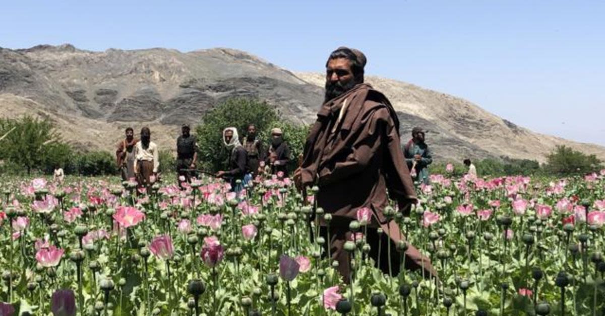 The DEADLY Price Of Protesting The Taliban&#039;s Opium Ban