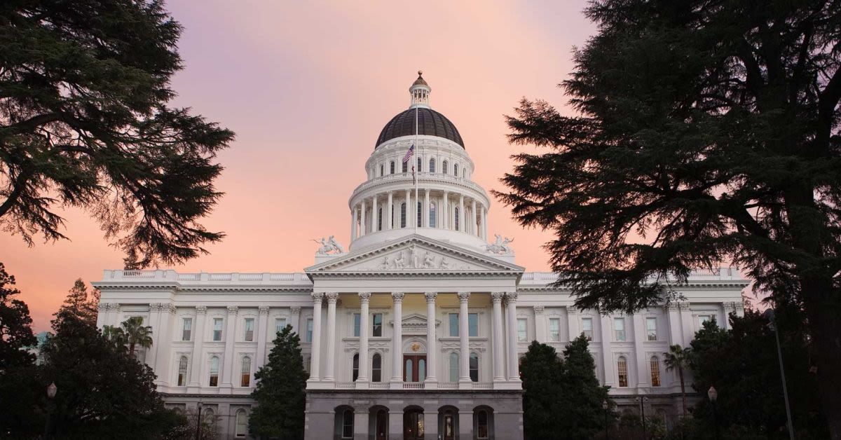 California Dems Want To Tax Your Right To Know What Government Hides