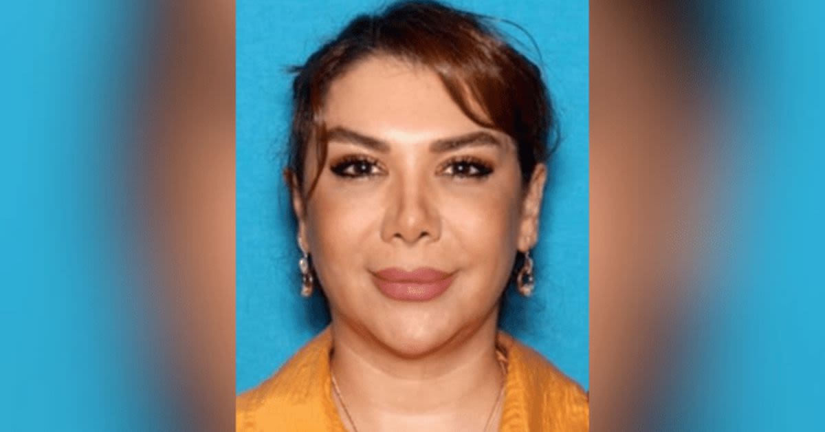 Glamorous Green-Card Socialite Busted At LAX In Shocking Iranian Arms-Trafficking Sting