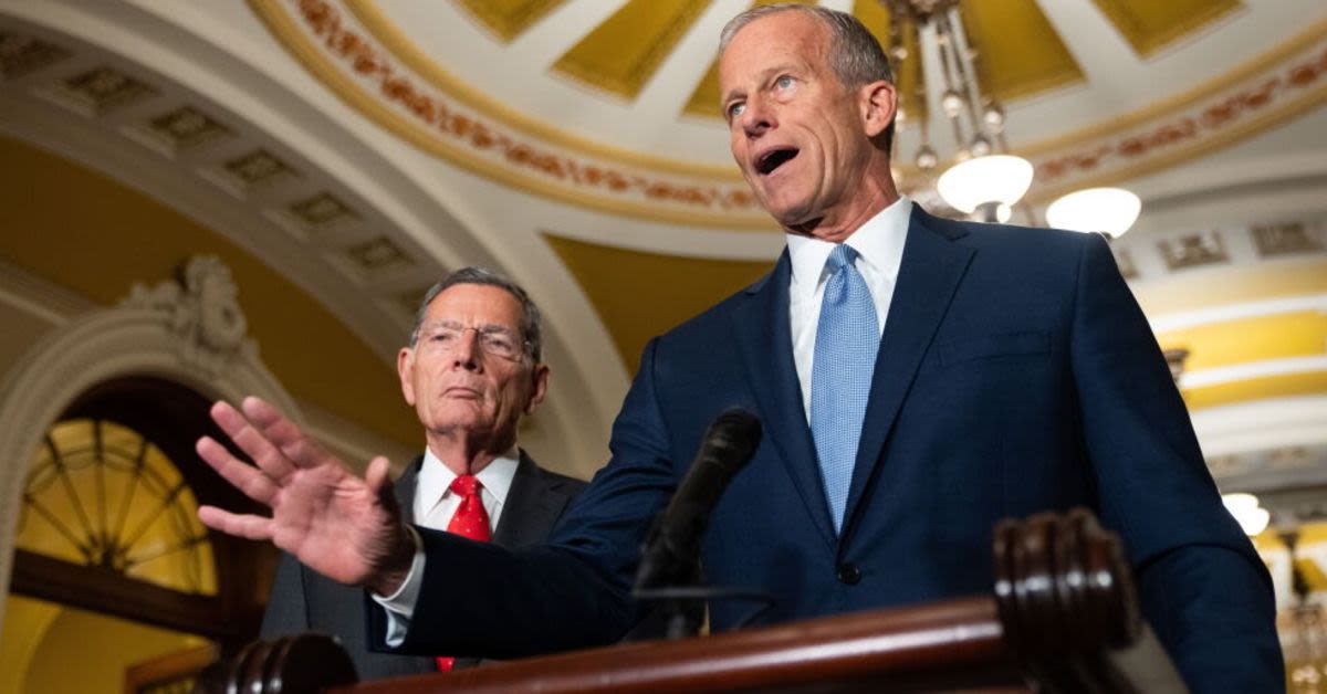 Andy Ogles Tells John Thune To Move Trump's SAVE America Act Or Step Aside
