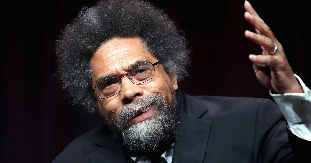 Cornel West Destroys Newsom Over Atlanta 'I'm Like You' Gaffe