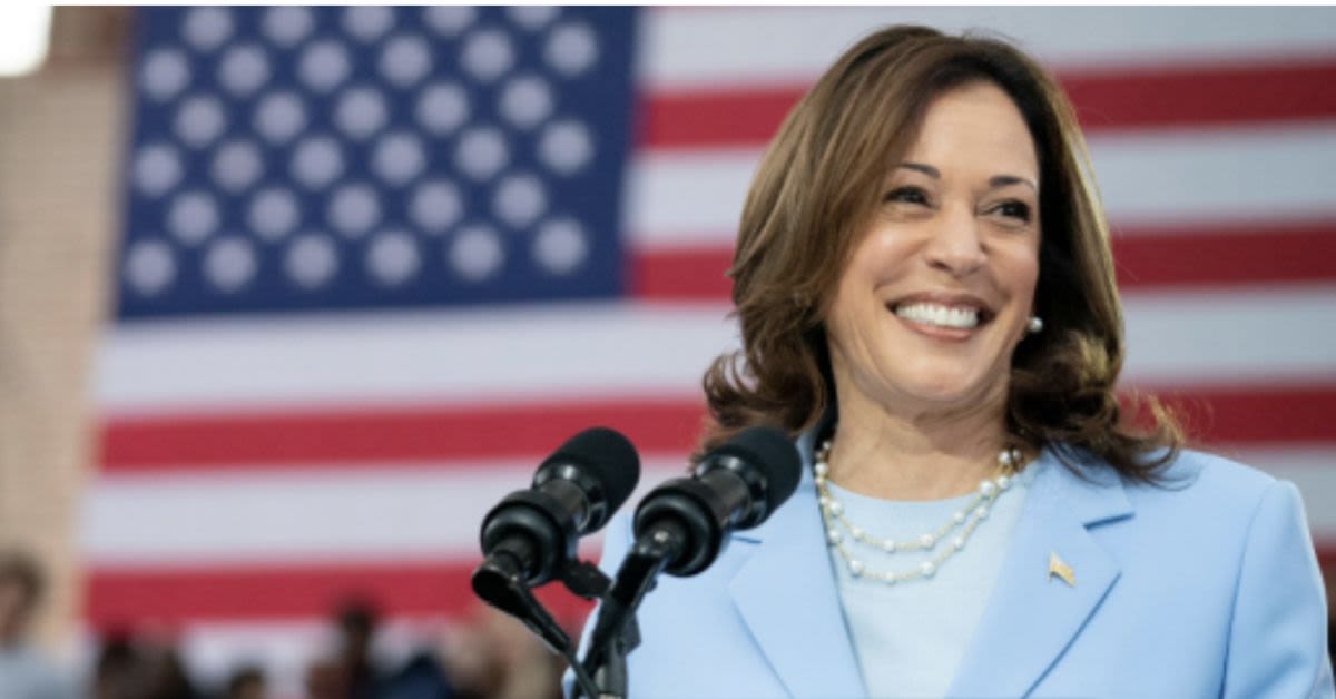 Newsoms Kamala Harris Remark Exposes How Power Really Works In Blue Strongholds