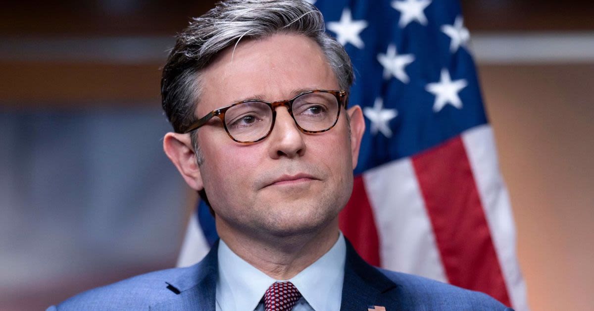 Mike Johnson Vows To End Shutdown Within 48 Hours