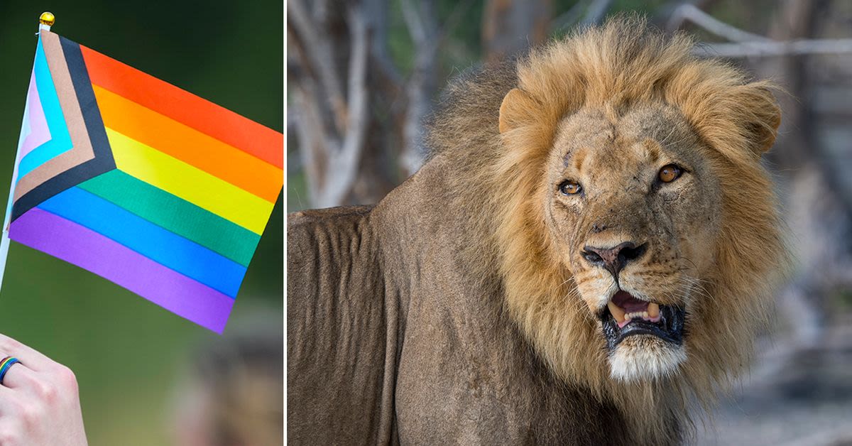 Animal PRIDE: NBC&#039;s Upcoming &#039;Queer Planet&#039; Exposes Natures Hidden LGBTQ+ Life