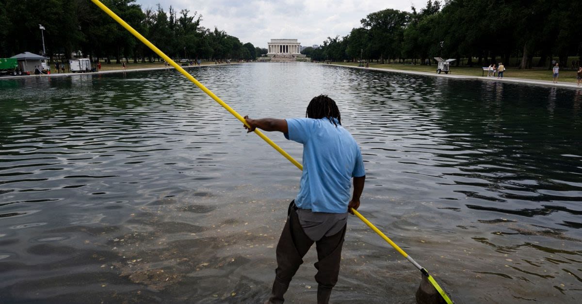Trump Says Reflecting Pool Vandalism Case Deserves Another Review