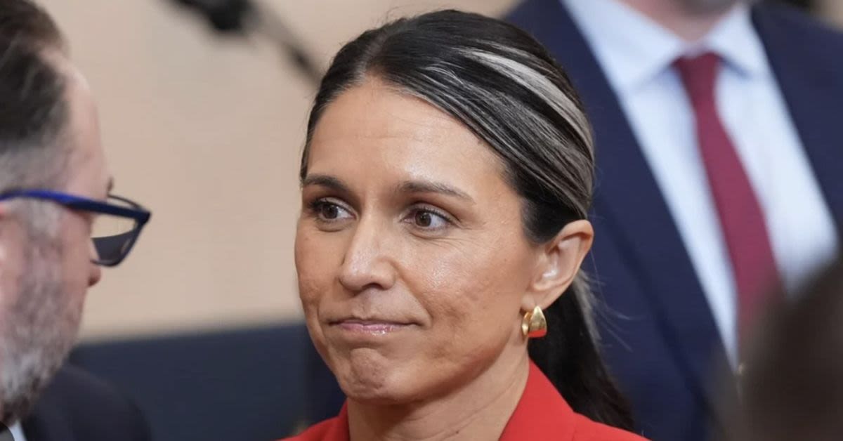 Whistleblower: CIA Illegally Surveilled Tulsi Gabbard's Investigation Team