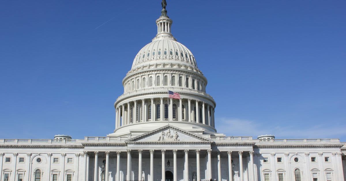 Spite-Fueled Democrat Admits Shes Running For Congress To Get Back At Her Ex