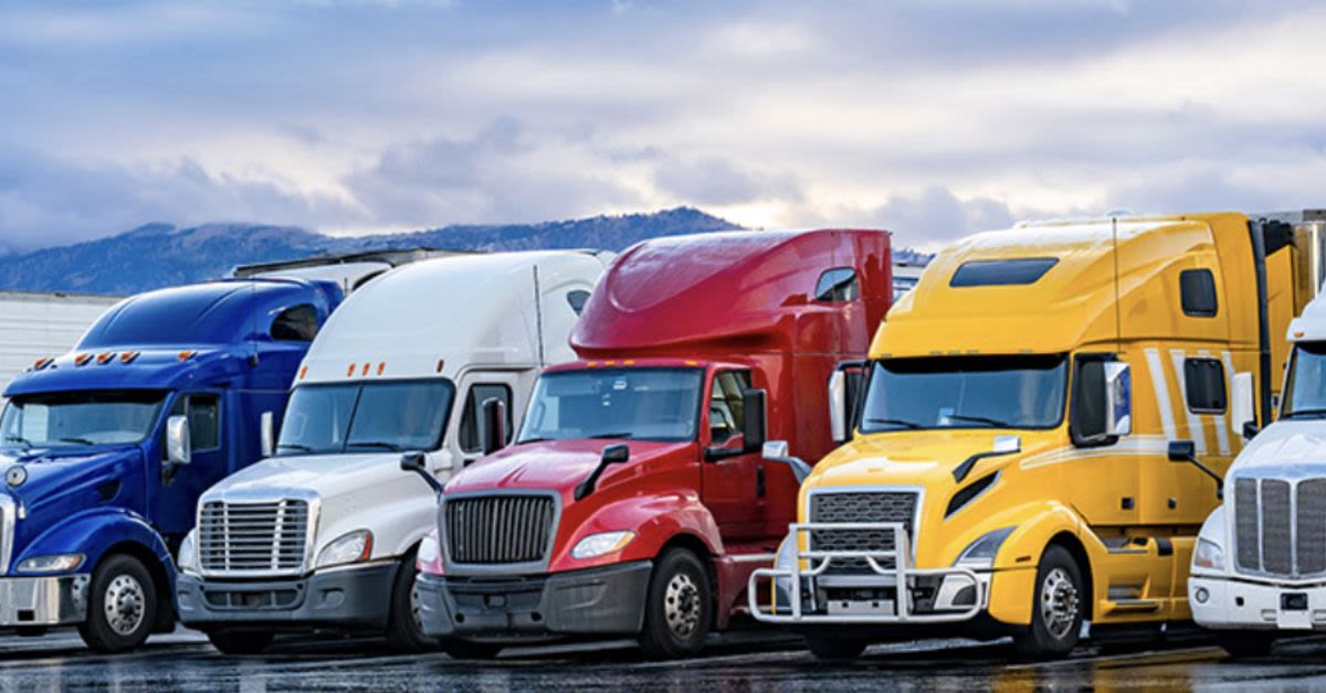 Somali Trucker Caught Barreling Wrong Way In 80-Ton Rig Exposes Another Incredible CDL Loophole (Video)