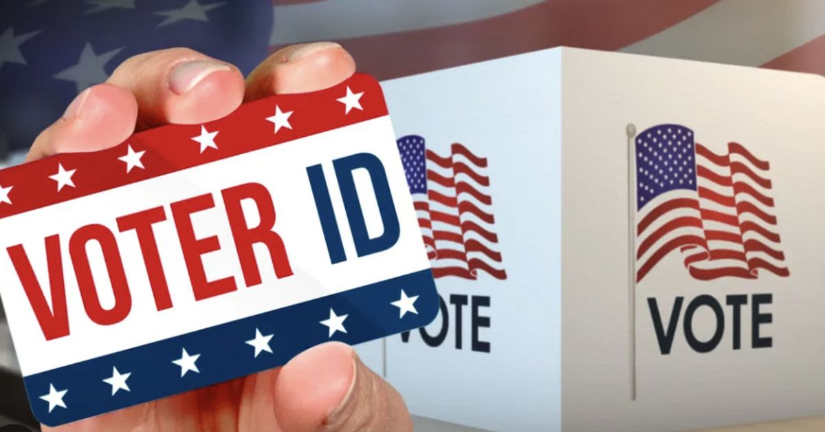 Democrats Still Scream Jim Crow 2.0 As Poll Shows 83 Percent Of Americans Back Voter ID