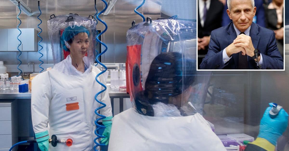 Tulsi Gabbard Drops Fauci Files As A Controversial Parting Gift