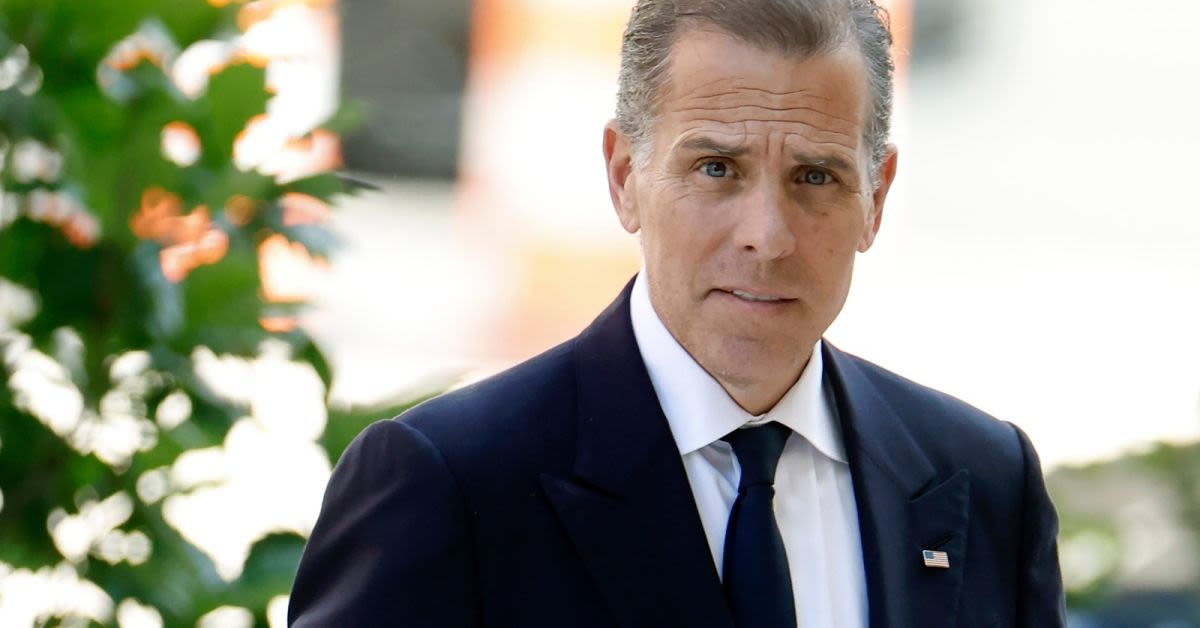 Hunter Biden Dares Don Jr. To Cage Fight After Blasting Trumps Imperial UFC Bash On White House Lawn