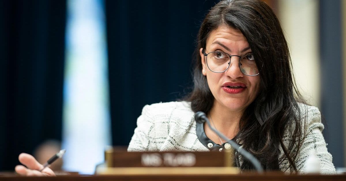 Michigan Senate Candidate Rejects $20 Million Offer To Challenge Fellow Democrat Rep. Tlaib