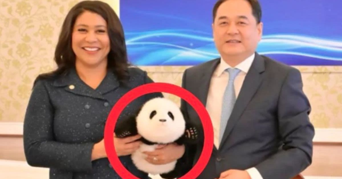 Pandas Over People? SF Mayor&#039;s Controversial China Trip Sparks Outrage