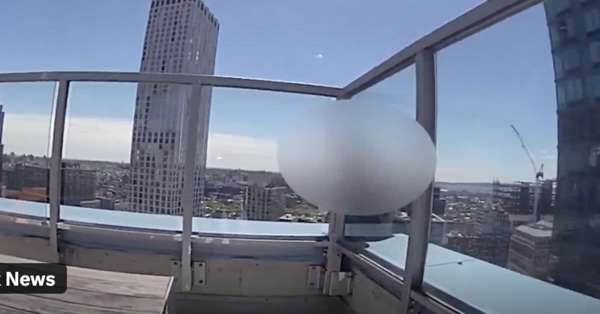 Watch: NYPD Cops Unexpected Joke On A Brooklyn Skyscraper Ledge Turns Into A Life-Or-Death Turning Point