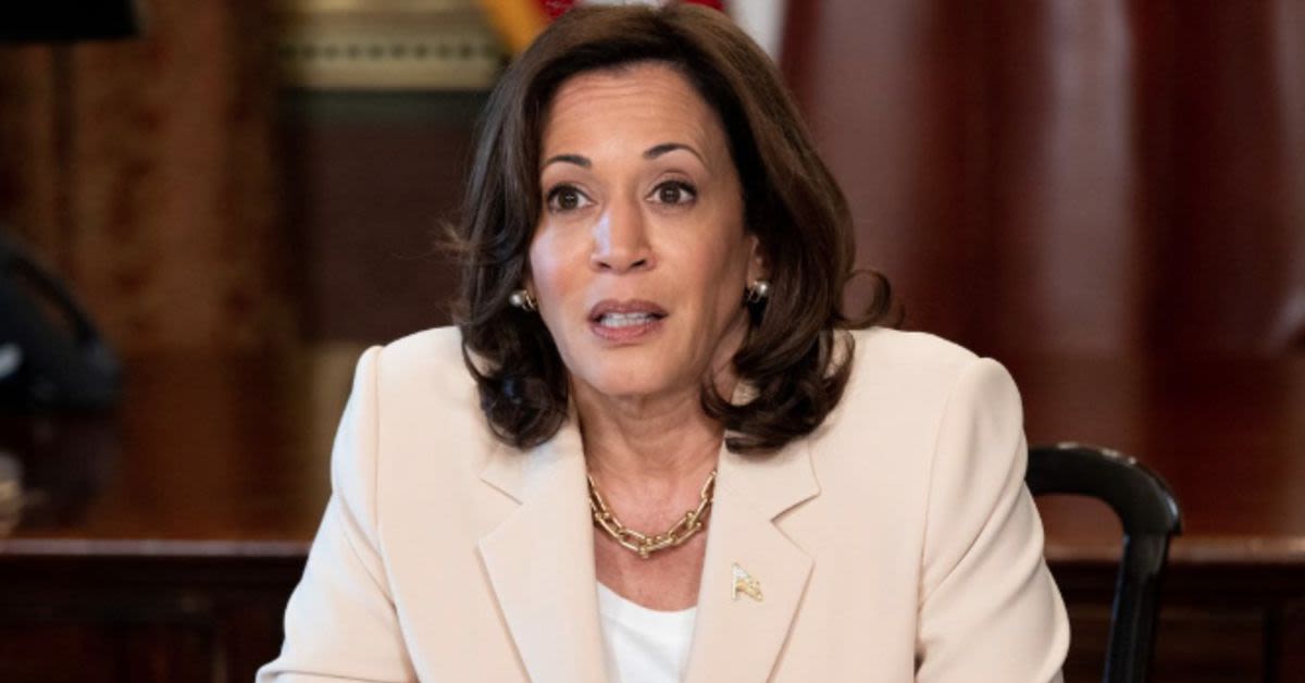 Vice President Harris Acknowledges Trump&#039;s Lead In Polls And Vows To Fight For Re-Election